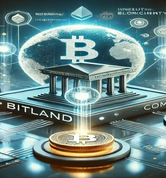 biitland.com stablecoins